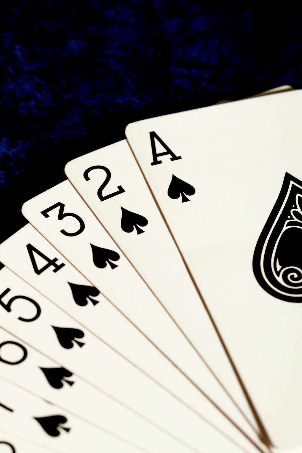 Golden panda casino